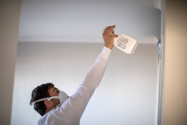Best Best Mold Removal Companies  in Wentworth, NC