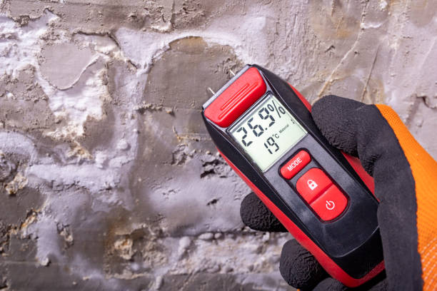 Best Toxic Mold Removal  in Wentworth, NC