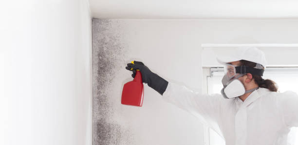 Best Mold Testing  in Wentworth, NC