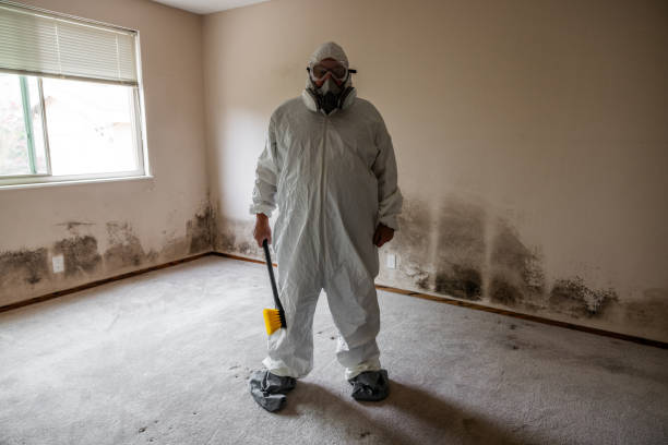 Mold Removal Process in Wentworth, NC